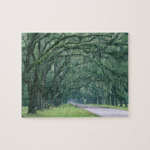 Noord-Amerika, Verenigde Staten, Georgia, Savannah Legpuzzel