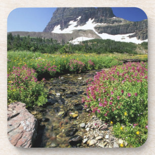 Noord-Amerika, Verenigde Staten, Montana, Glacier Drankjes Onderzetter