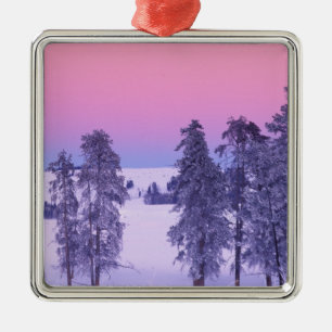 Noord-Amerika, Verenigde Staten, Montana, Yellowst Metalen Ornament