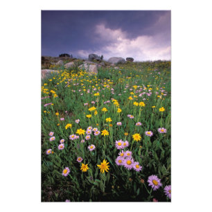 Noord-Amerika, Verenigde Staten, Wyoming, Yellowst Foto Afdruk