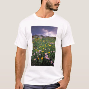 Noord-Amerika, Verenigde Staten, Wyoming, Yellowst T-shirt
