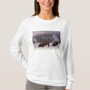 Noord-Amerika, Verenigde Staten, Wyoming, Yellowst T-shirt