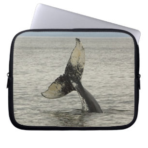 Noord-Amerika, VS, AK, Inside Passage. Bultrug Laptop Sleeve