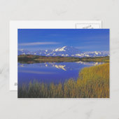 Noord-Amerika, VS, Alaska, Denali NP, Briefkaart (Voorkant / Achterkant)