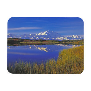 Noord-Amerika, VS, Alaska, Denali NP, Magneet