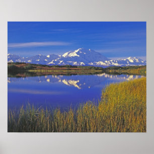 Noord-Amerika, VS, Alaska, Denali NP, Poster