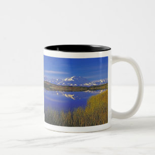 Noord-Amerika, VS, Alaska, Denali NP, Tweekleurige Koffiemok