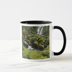Noord-Amerika, VS, Alaska. Een waterval en Mok