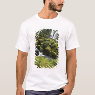 Noord-Amerika, VS, Alaska. Een waterval en T-shirt