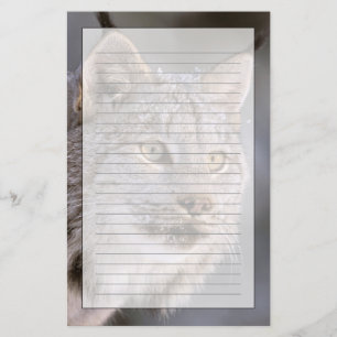 Noord-Amerika, VS, Alaska, Haines. Lynx (Felis lyn Briefpapier
