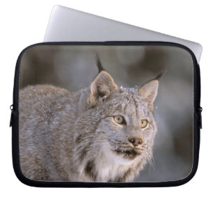 Noord-Amerika, VS, Alaska, Haines. Lynx (Felis lyn Laptop Sleeve