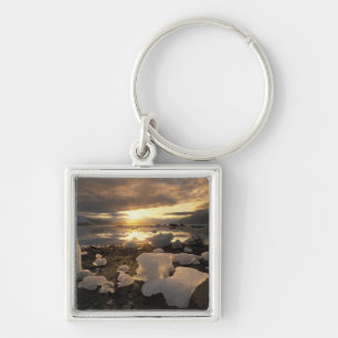 Noord-Amerika, VS, Alaska, IJsbaai, IJsscape, Sleutelhanger