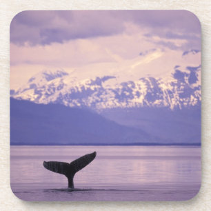 Noord-Amerika, VS, Alaska, Inside Passage. Drankjes Onderzetter