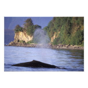 Noord-Amerika, VS, Alaska, Inside Passage. Foto Afdruk