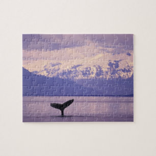 Noord-Amerika, VS, Alaska, Inside Passage. Legpuzzel
