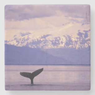Noord-Amerika, VS, Alaska, Inside Passage. Stenen Onderzetter
