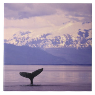 Noord-Amerika, VS, Alaska, Inside Passage. Tegeltje