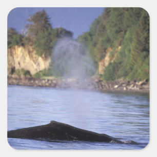 Noord-Amerika, VS, Alaska, Inside Passage. Vierkante Sticker