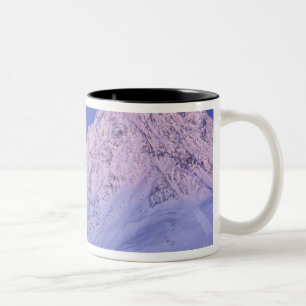 Noord-Amerika, VS, Alaska, Knik-rivier, Tweekleurige Koffiemok