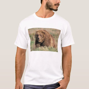 Noord-Amerika, VS, Alaska, Kodiak Island, T-shirt