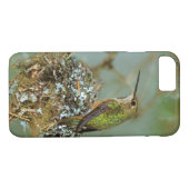 Noord-Amerika, VS, Alaska. Rufous Humming Case-Mate iPhone Case (Achterkant (Horizontaal))