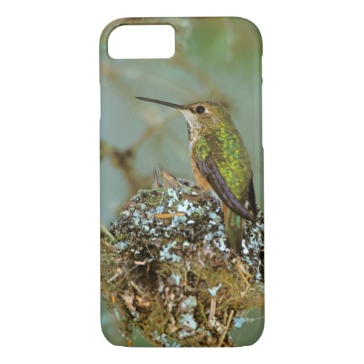 Noord-Amerika, VS, Alaska. Rufous Humming Case-Mate iPhone Case (Achterkant)