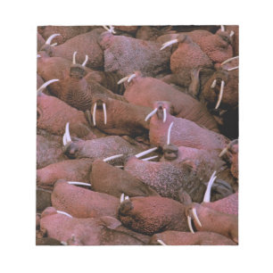 Noord-Amerika, VS, Alaska, Yukon Delta Nationaal Notitieblok