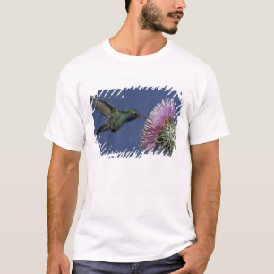 Noord-Amerika, VS, Arizona. Breedbek T-shirt