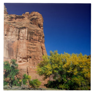 Noord-Amerika, VS, Arizona, Navajo-indiaan 3 Tegeltje