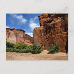 Noord-Amerika, VS, Arizona, Navajo-indiaan 5 Briefkaart
