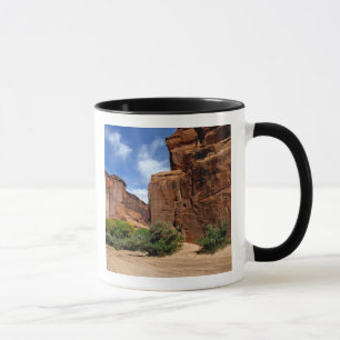 Noord-Amerika, VS, Arizona, Navajo-indiaan 5 Mok
