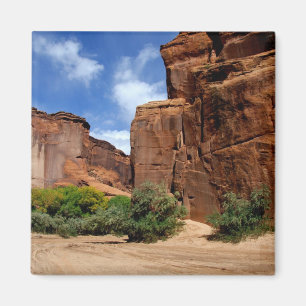 Noord-Amerika, VS, Arizona, Navajo Indian 5 Magneet