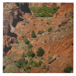 Noord-Amerika, VS, Arizona, Navajo Indian Tegeltje