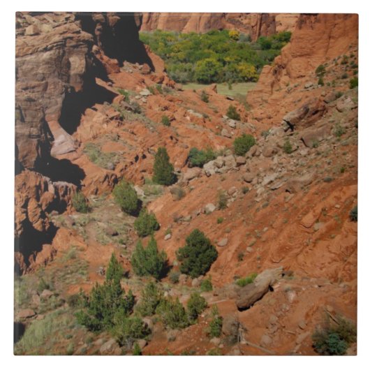 Noord-Amerika, VS, Arizona, Navajo Indian Tegeltje (Voorkant)