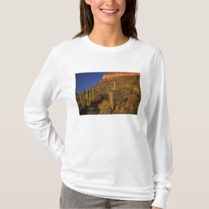 Noord-Amerika, VS, Arizona, Organ Pipe Cactus 2 T-shirt