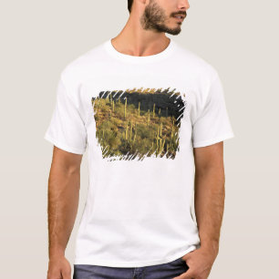 Noord-Amerika, VS, Arizona, Sonoran-woestijn T-shirt