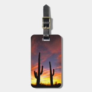 Noord-Amerika, VS, Arizona, Sonorawoestijn. Bagagelabel