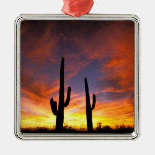 Noord-Amerika, VS, Arizona, Sonorawoestijn. Metalen Ornament