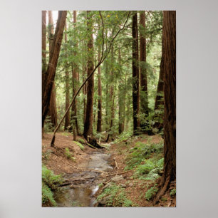 Noord-Amerika, VS, Californië, Big Sur, Poster