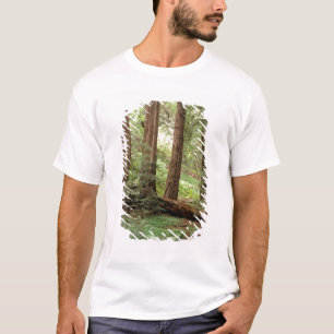 Noord-Amerika, VS, Californië, Big Sur, T-shirt