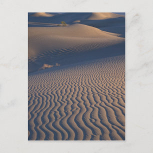 Noord-Amerika, VS, Californië, Death Valley Briefkaart