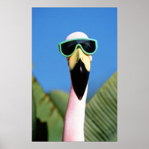 Noord-Amerika, VS, Californië, San Diego. Zee Poster