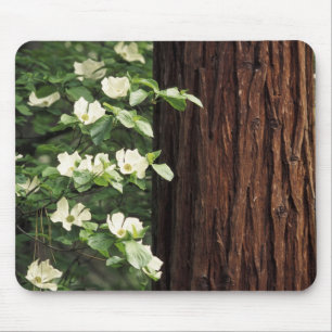 Noord-Amerika, VS, Californië, Yosemite 3 Muismat