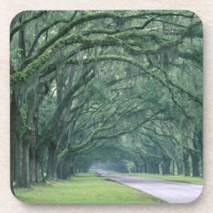 Noord-Amerika, VS, Georgia, Savannah, Onderzetter