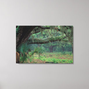 Noord-Amerika, VS, Georgië, Cumberland 2 Canvas Afdruk