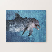 Noord-Amerika, VS, Hawaii. Dolfijn Legpuzzel (Horizontaal)