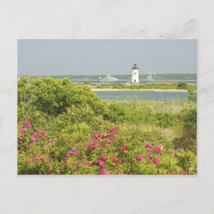 Noord-Amerika, VS, Massachusetts, Martha's Briefkaart