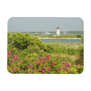 Noord-Amerika, VS, Massachusetts, Martha's Magneet