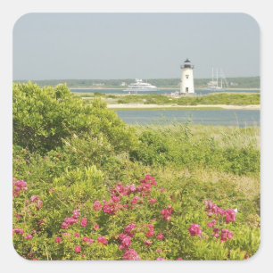 Noord-Amerika, VS, Massachusetts, Martha's Vierkante Sticker