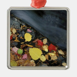 Noord-Amerika, VS, ME, Een stroom in de herfst. Metalen Ornament